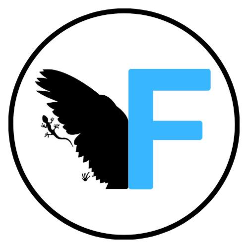 Finding my Wings Facebook ad