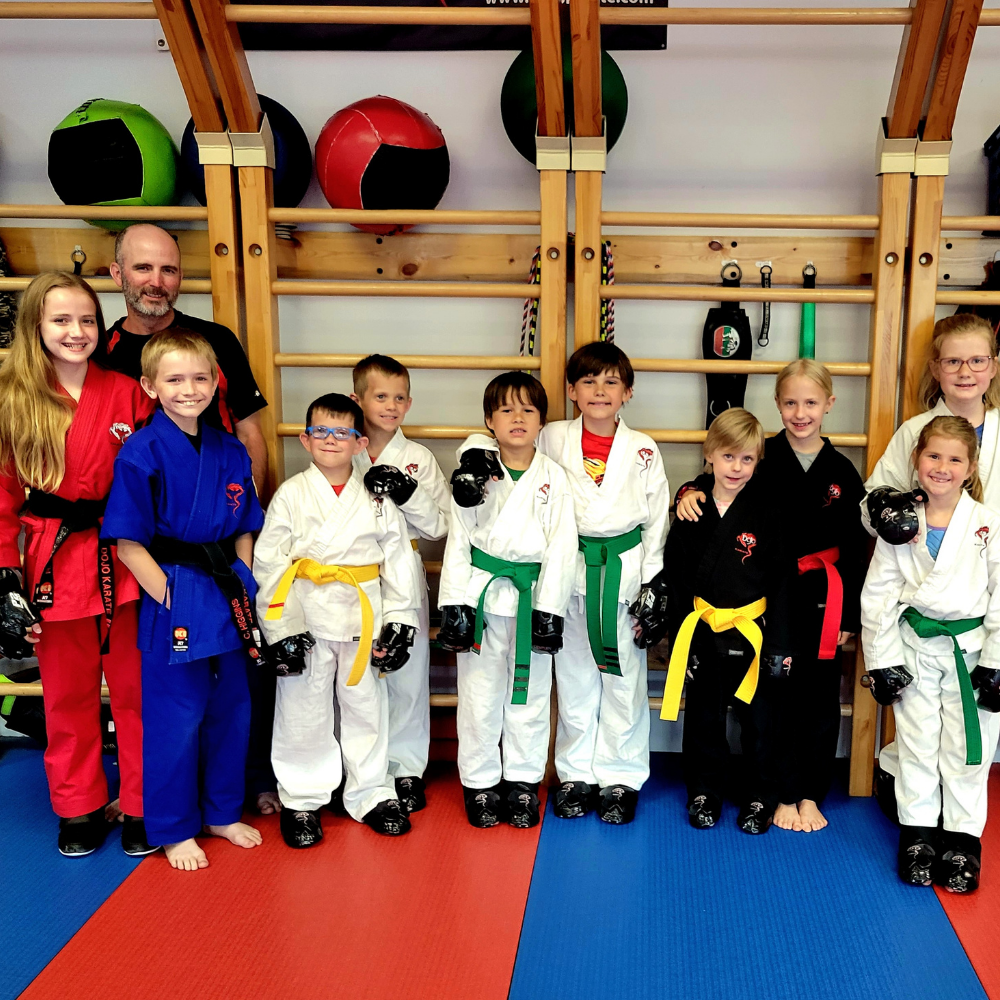 Dojo Karate - Rogers Facebook ad