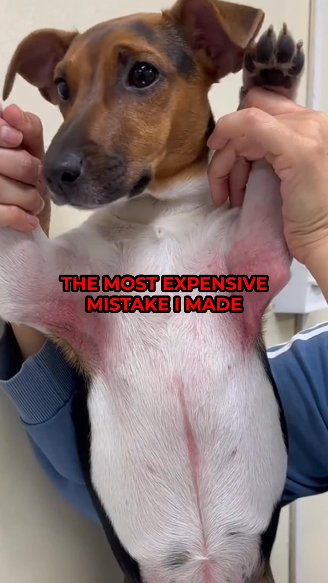 Zoomie Facebook ad: Life-changing discovery