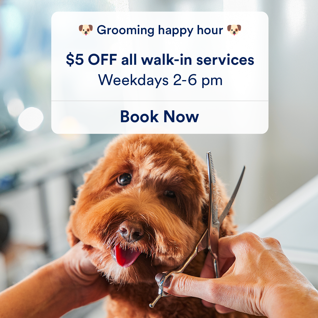 Petco Facebook ad
