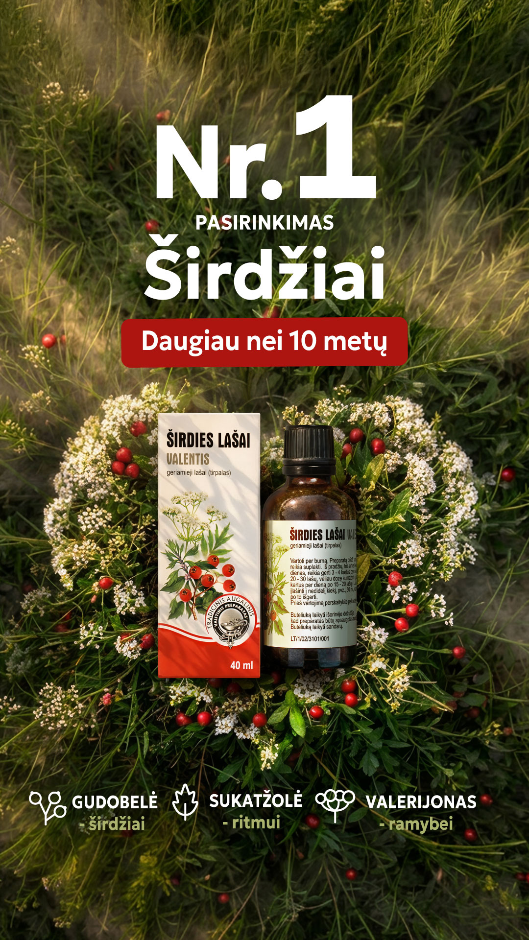 Širdis ir kraujotaka Facebook ad