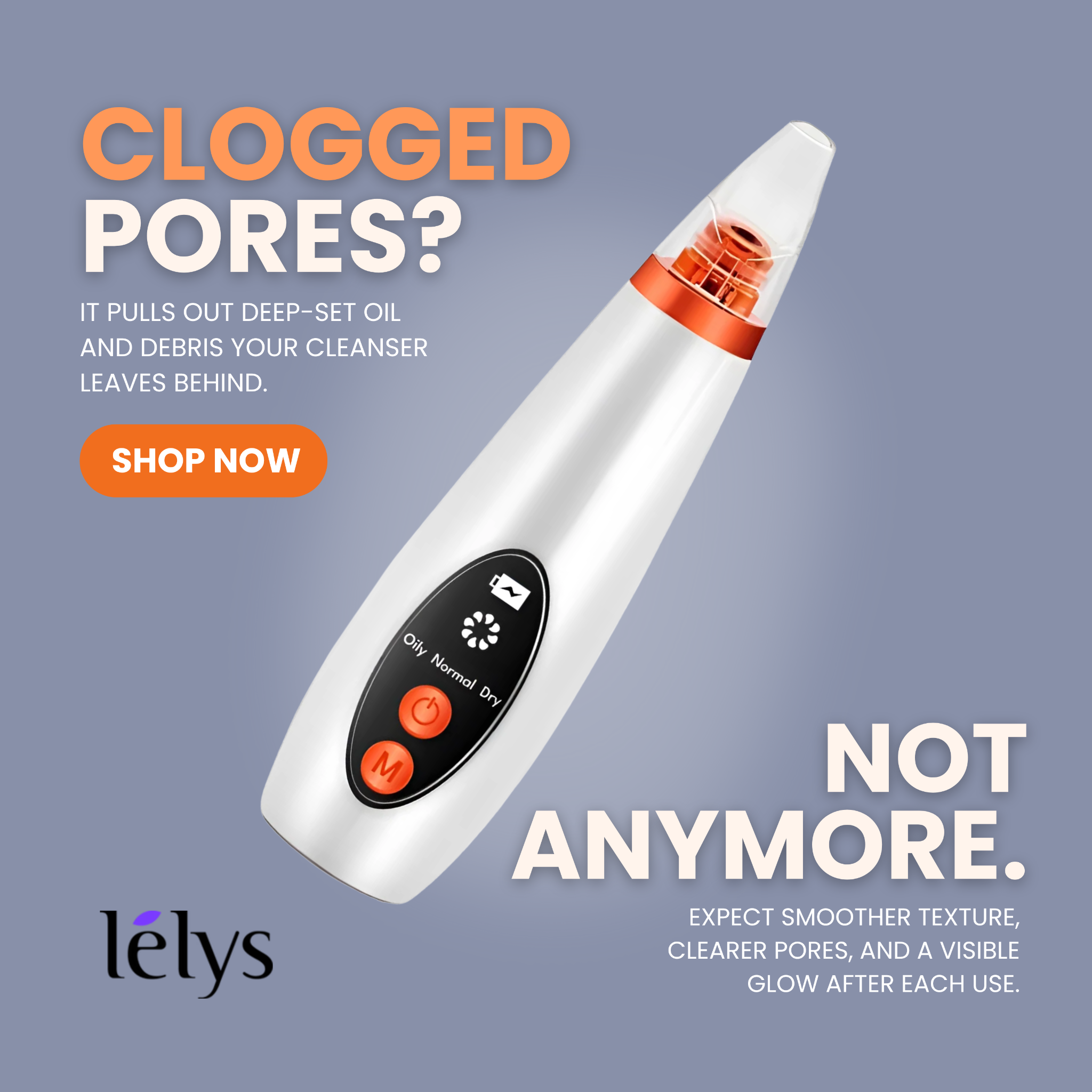 Lely's - The Ultimate Grooming Hub Facebook ad