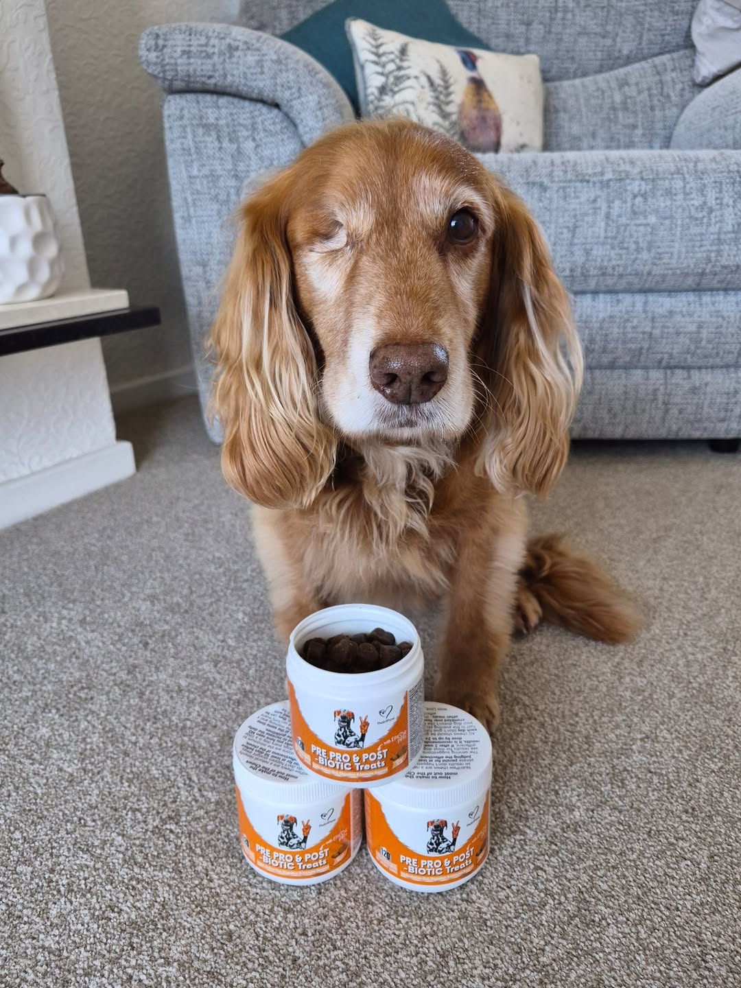 Nutri Paw Facebook ad