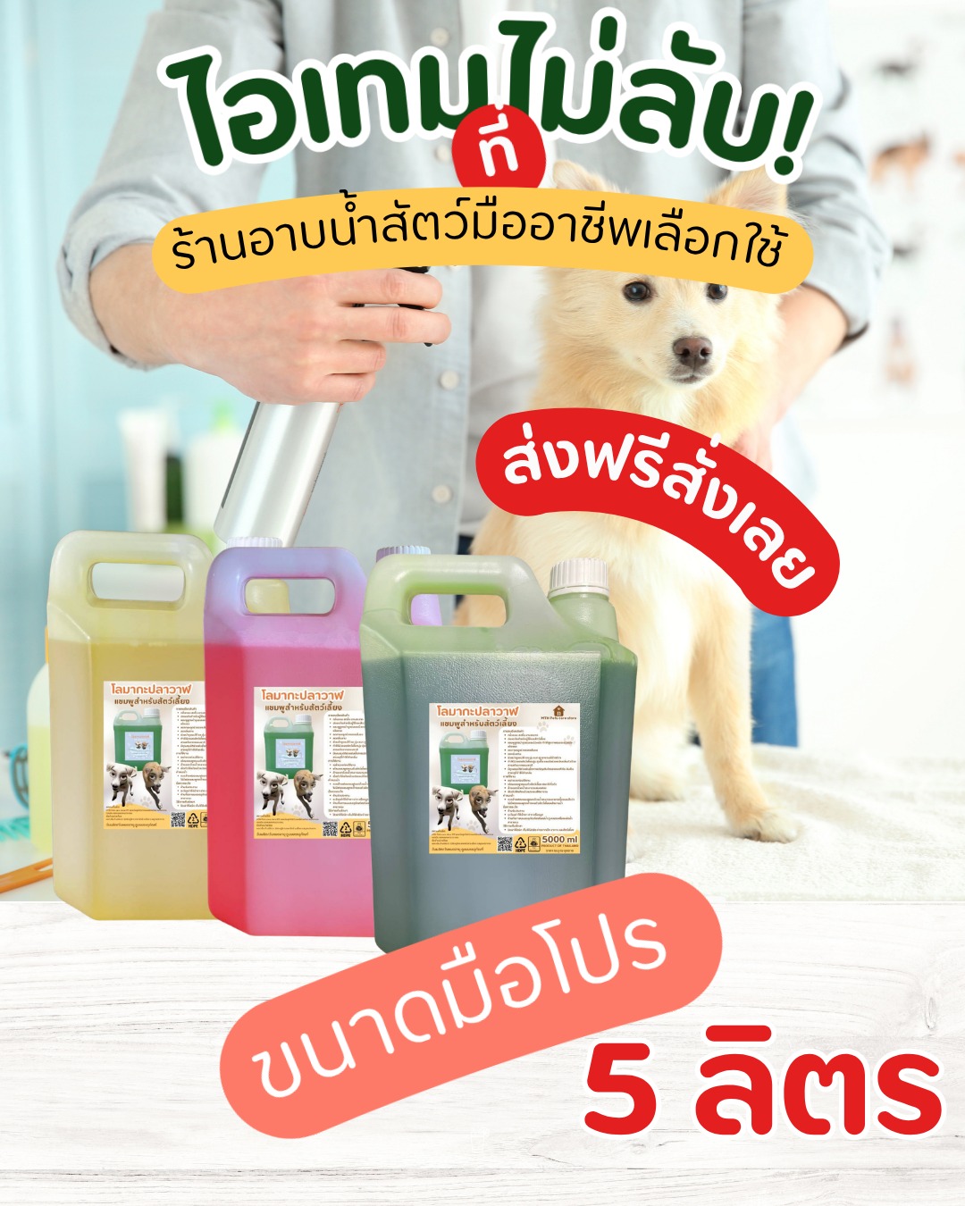 MTH PETS CARE STORE Facebook ad