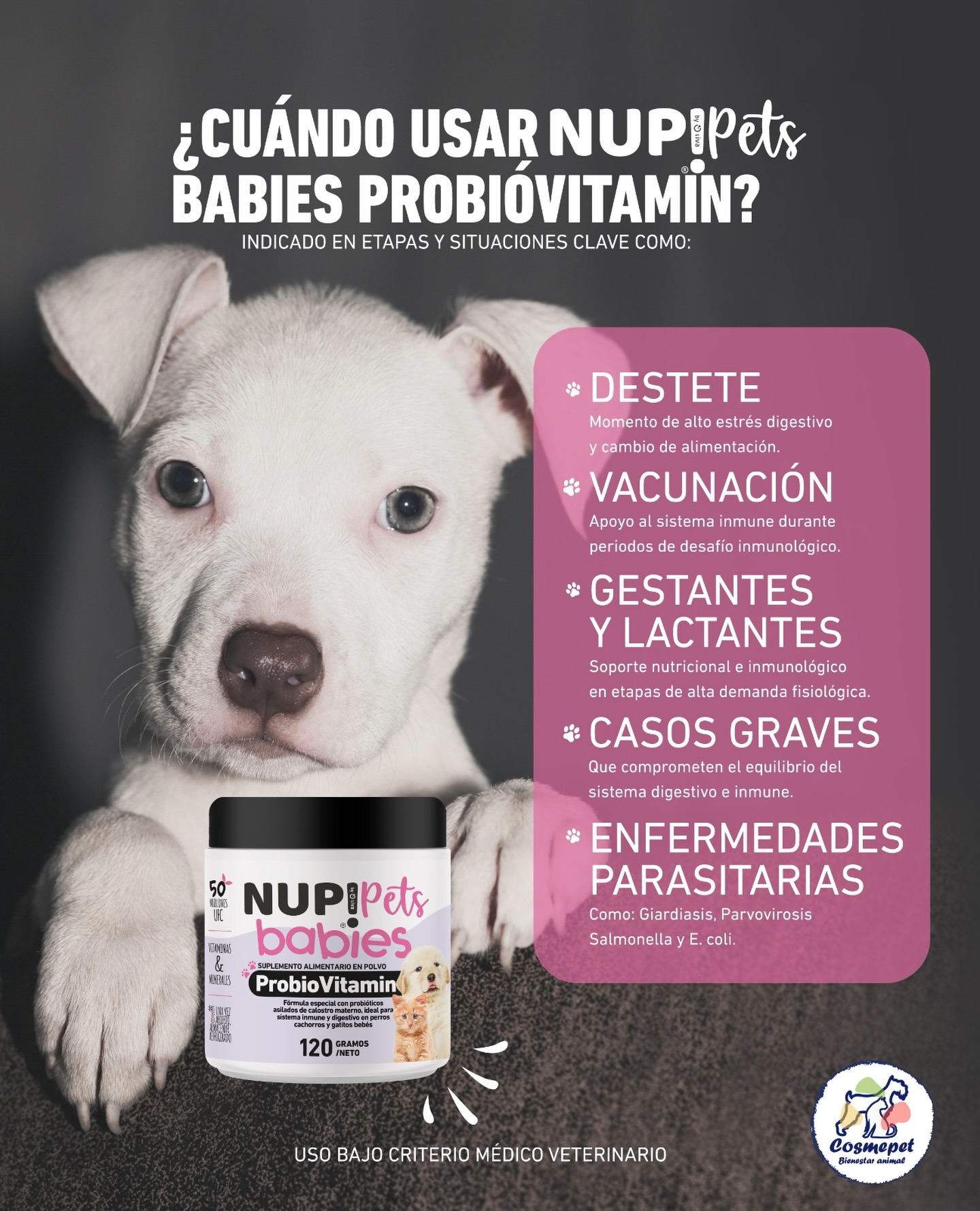 nuppets.bol Facebook ad: NUP! pets /Probiótico Mascota (@nup.pets) • Instagram…
