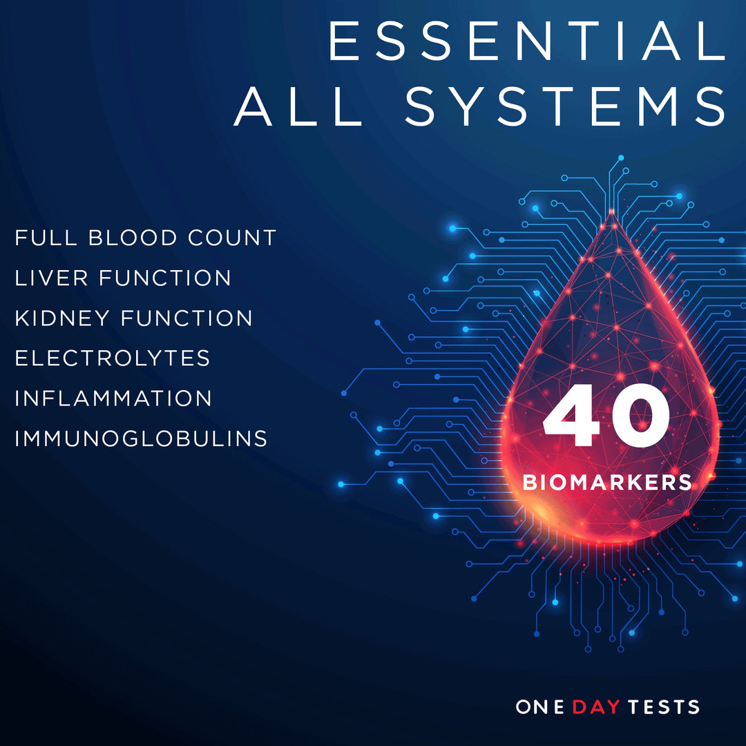 One Day Tests Facebook ad: Fast, accurate full body MOT blood tests.