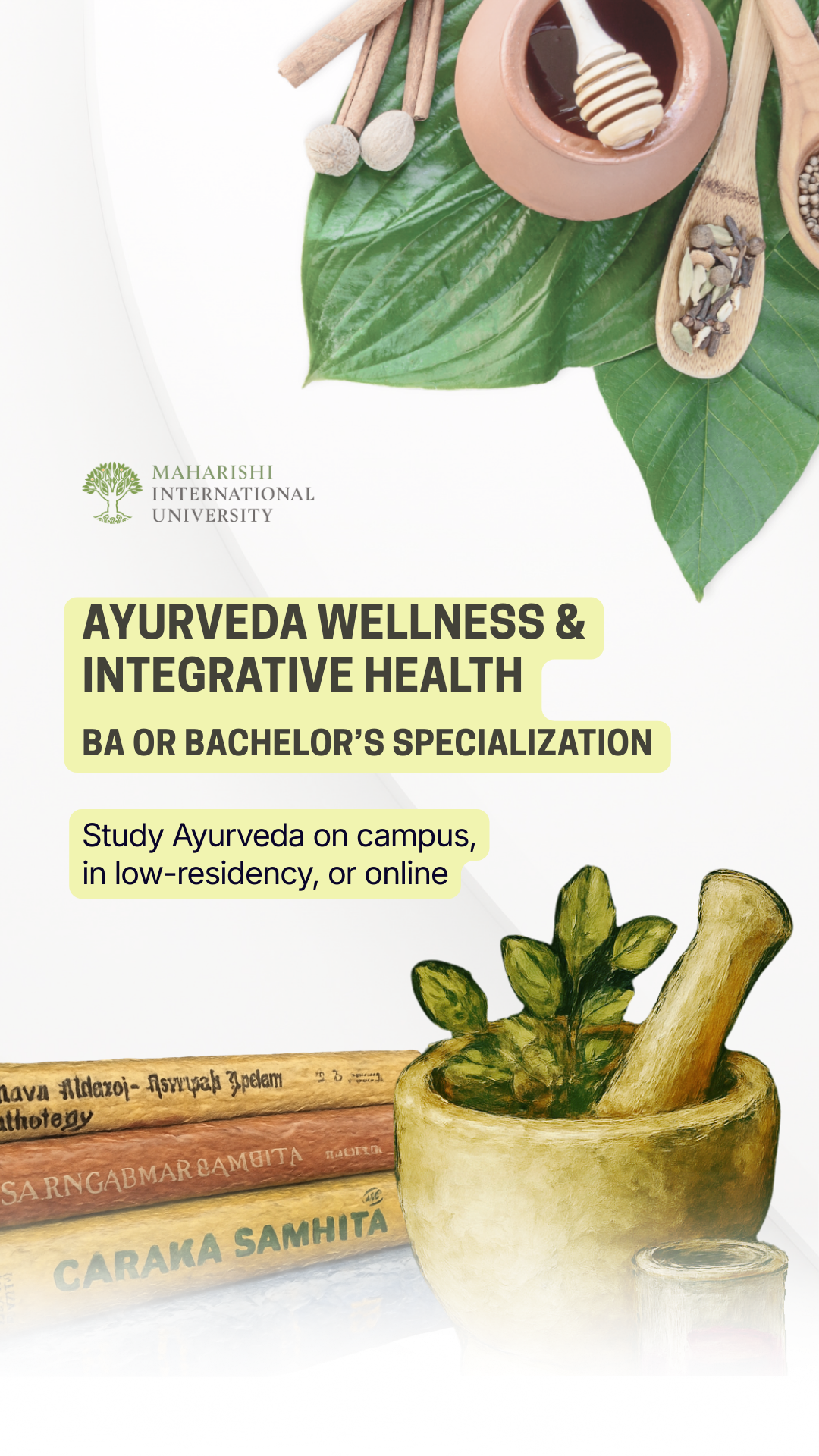 Maharishi International University Facebook ad