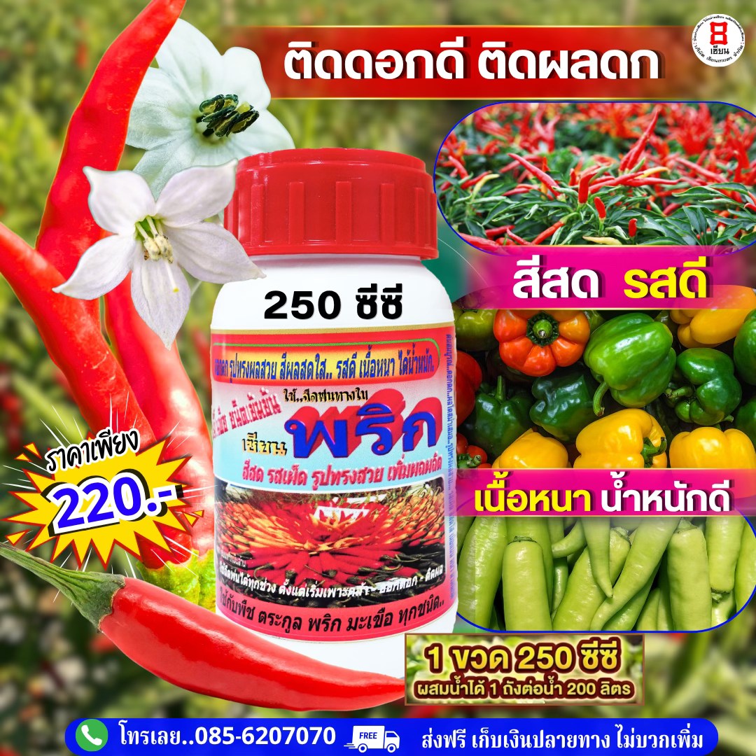 8เซียน Sienkaset 085-6207070 Facebook ad