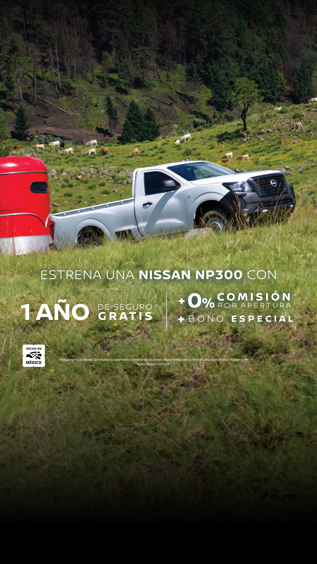 Nissan Facebook ad