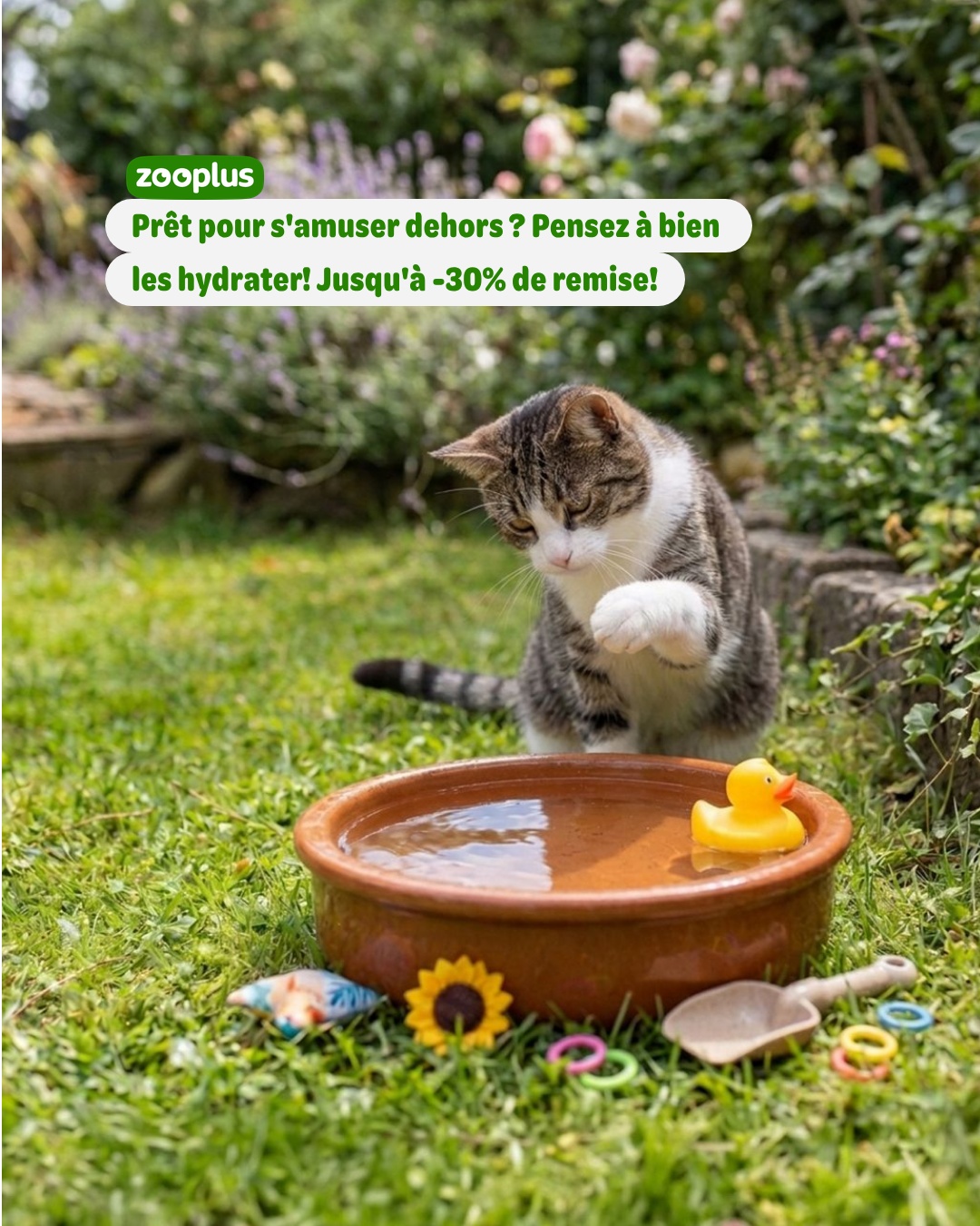 zooplus Facebook ad