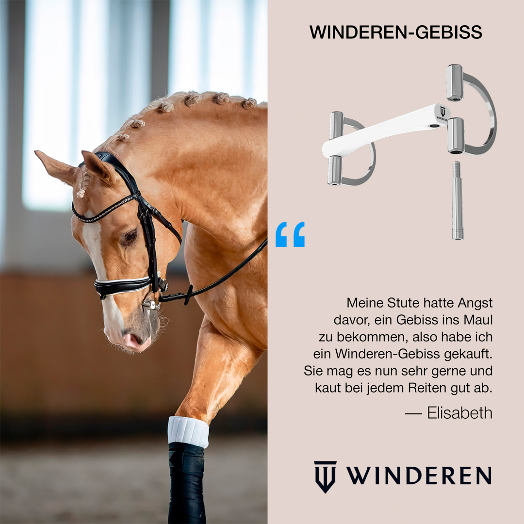 Winderen - Innovative Equestrian Equipment Facebook ad