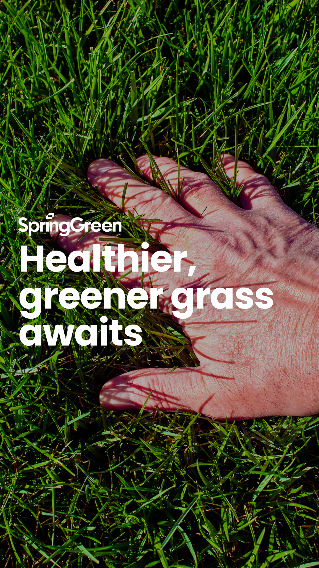 SpringGreen Facebook ad