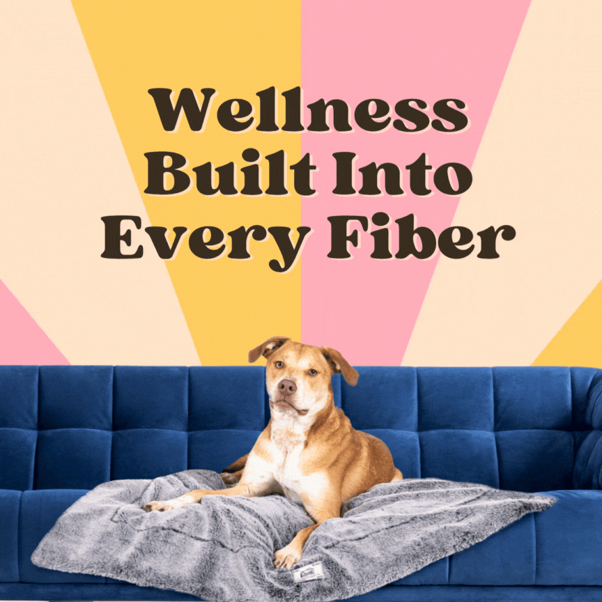 D.GS Pet Products Facebook ad