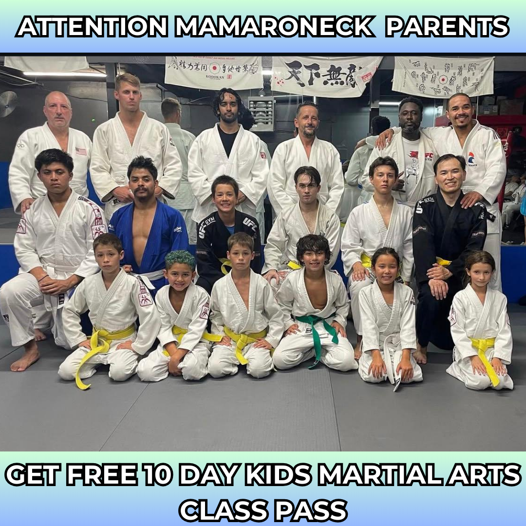 MFC GYM Facebook ad: Want a FREE 10-Day, Kids Martial Arts Class Pass?