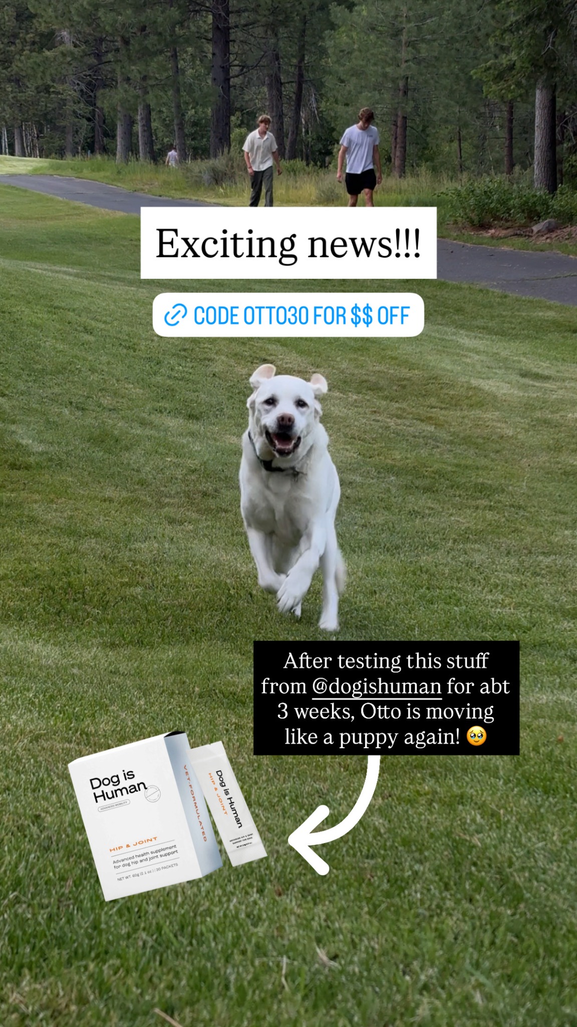 Dog is Human Facebook ad