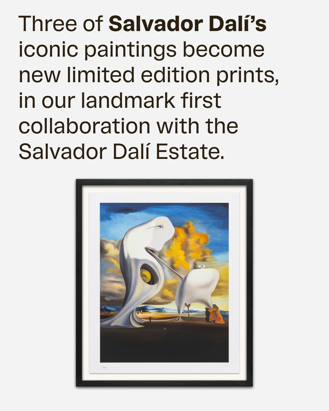 Avant Arte Facebook ad