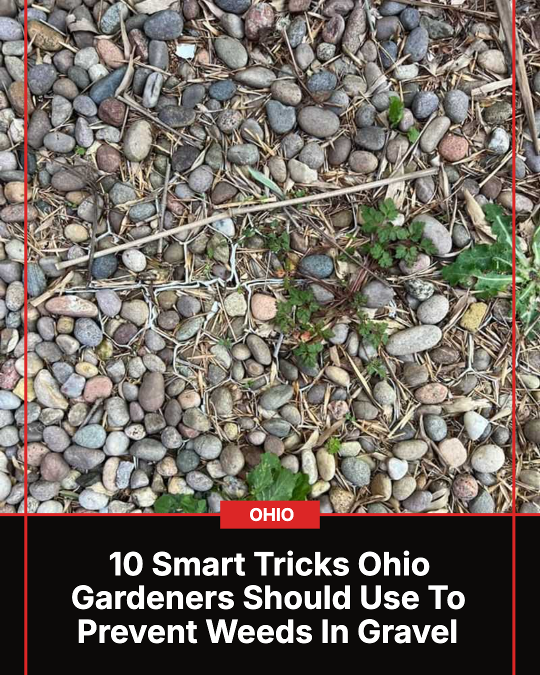 Ohio Gardener Facebook ad: 10 Smart Tricks Ohio Gardeners Should Use To Prevent Weeds…