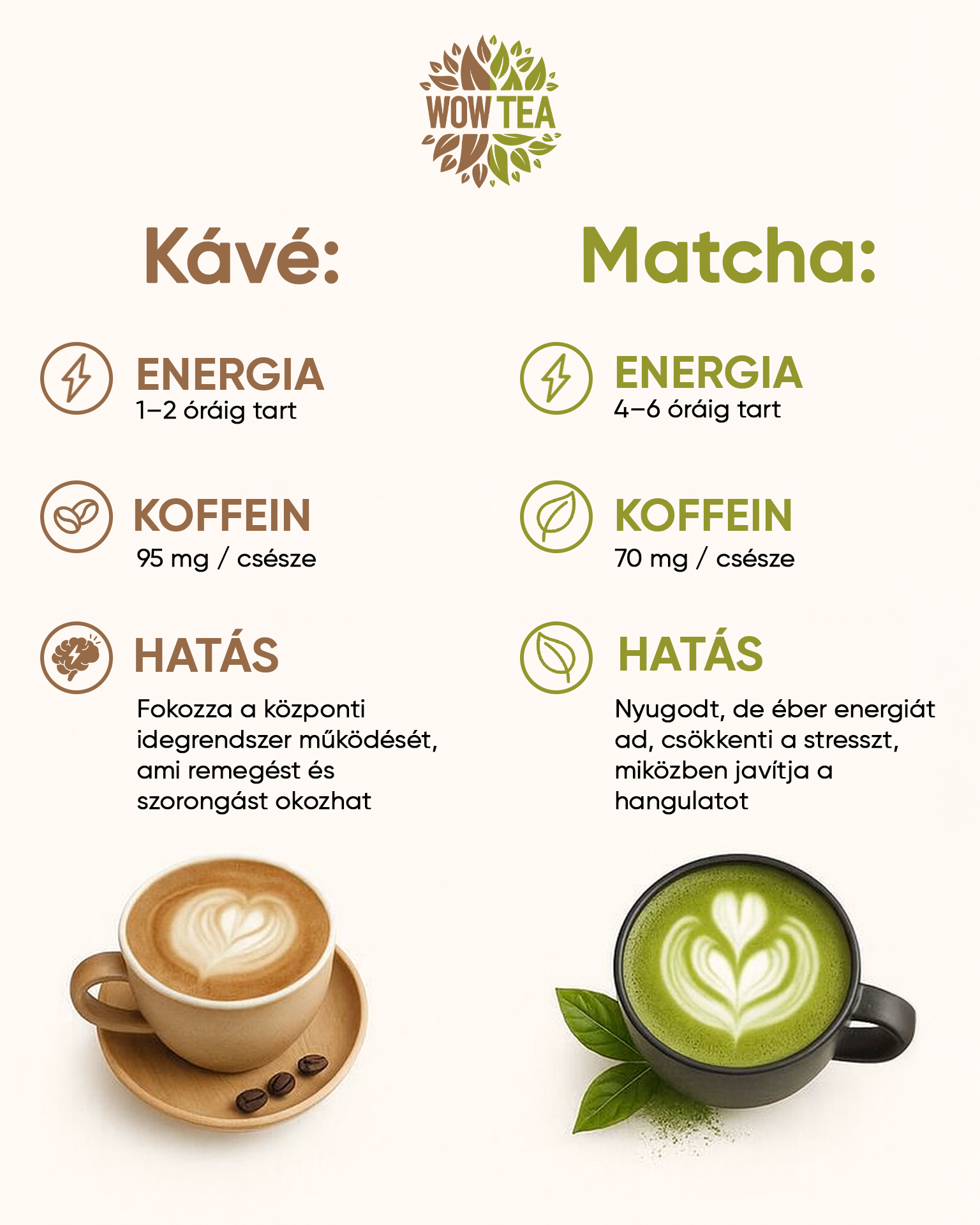 The Biofit Blog Facebook ad