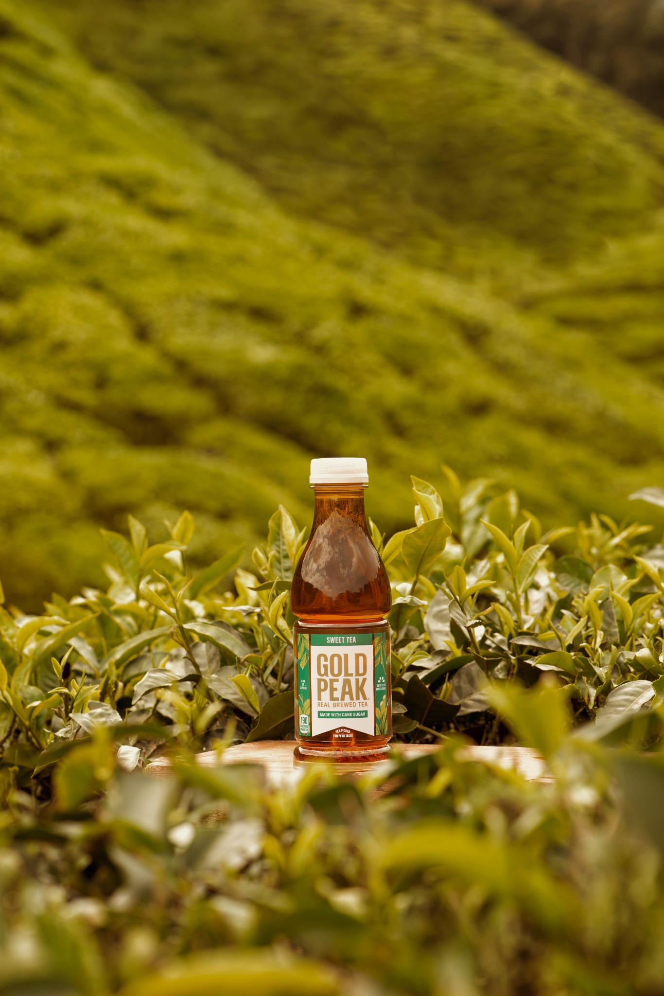 Gold Peak Tea Facebook ad from Apr 6, 2026