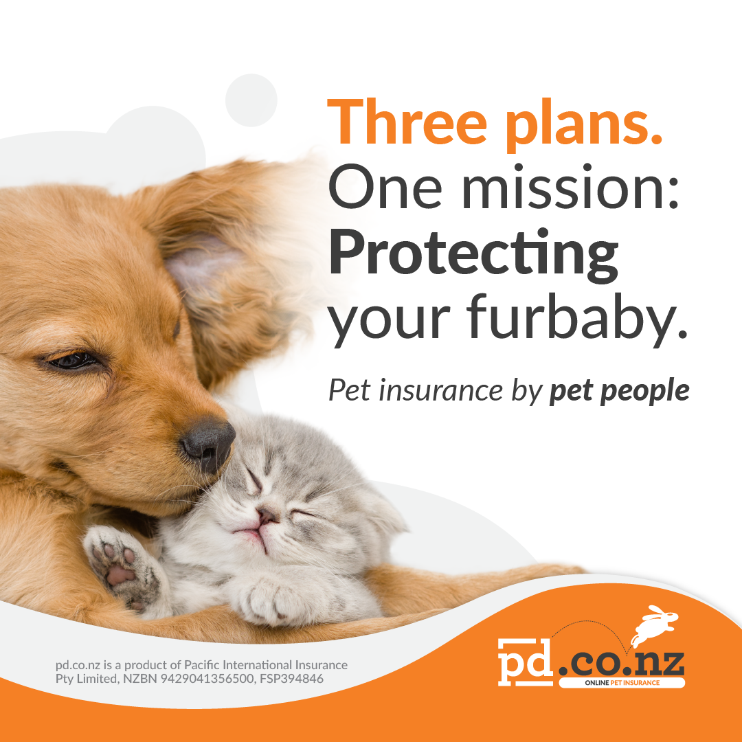 PD Insurance NZ Facebook ad