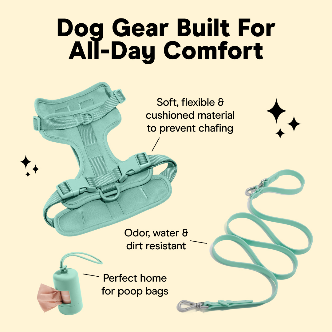 Wild One Facebook ad