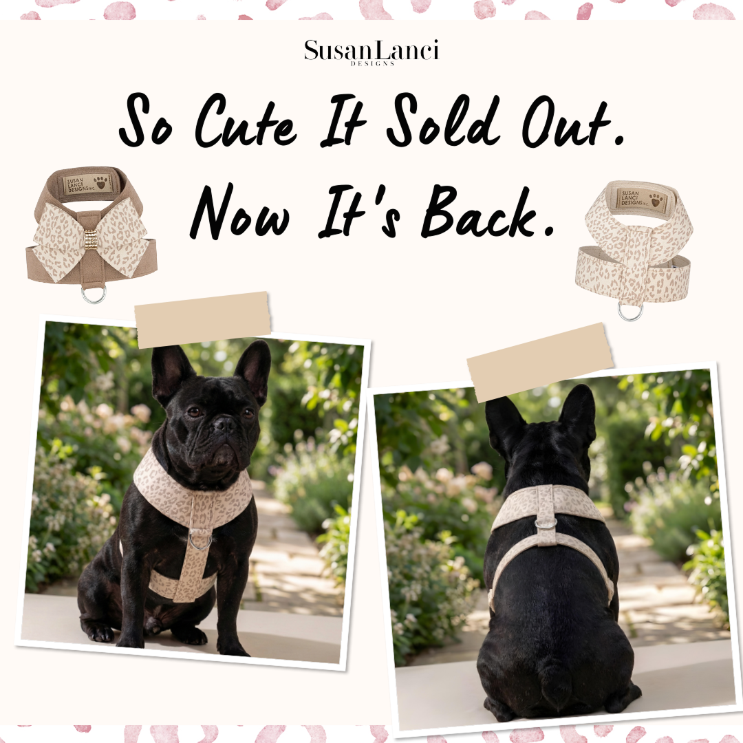 Susan Lanci Designs Inc. Facebook ad