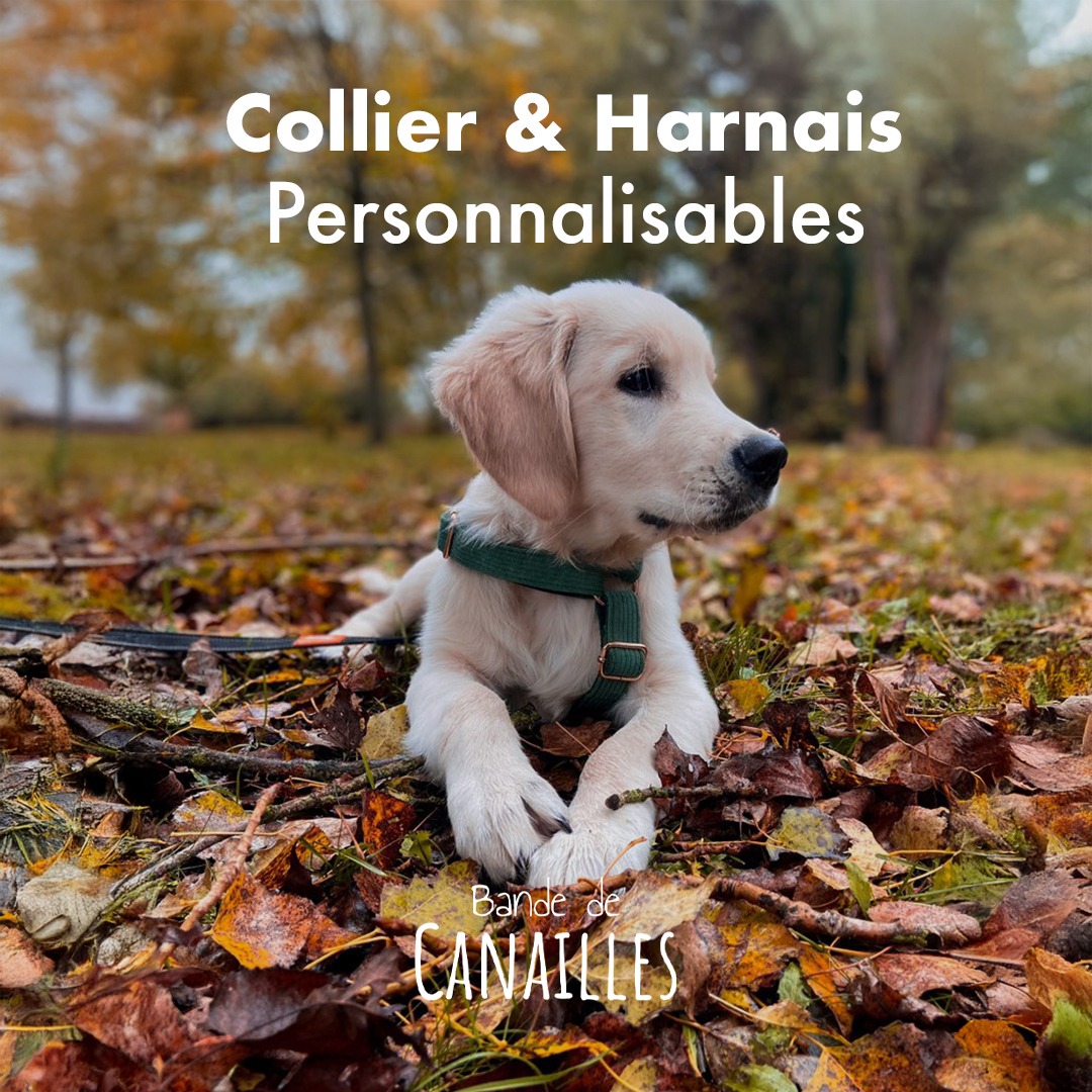 Bande de Canailles Facebook ad: Chic & Personnalisable
