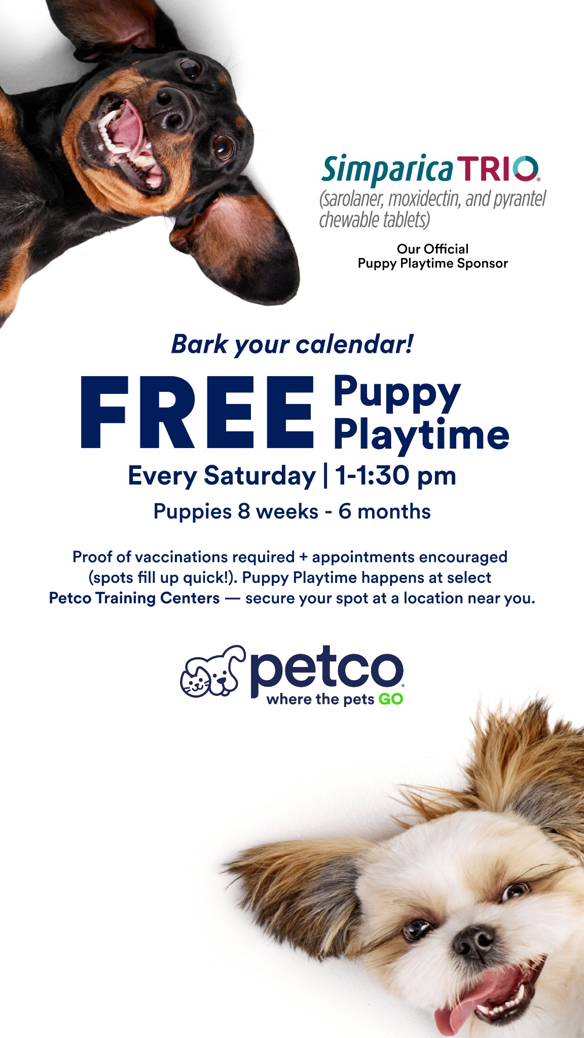 Petco Facebook ad