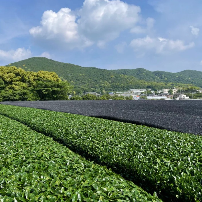 For Bridges Co.,Ltd Facebook ad: The matcha latte your guests love?