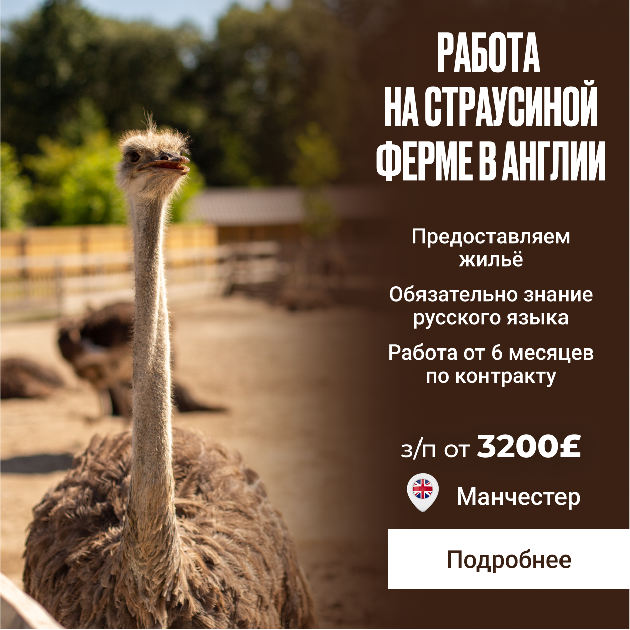 Concept Group Facebook ad: Оставляй заявку по кнопке ниже!