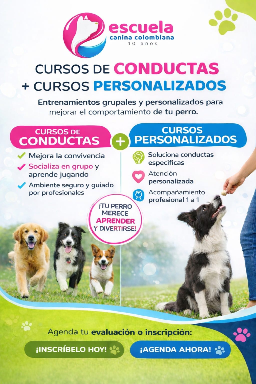 Escuela Canina Colombiana Facebook ad