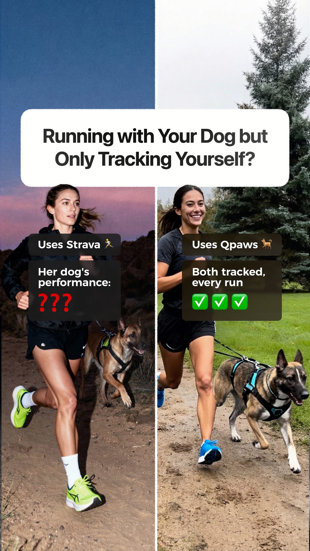 QPAWS Facebook ad