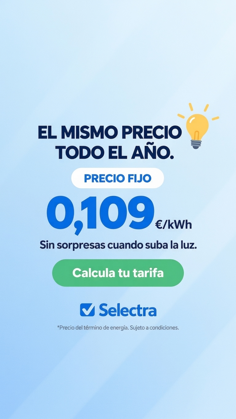 Selectra Facebook ad: El mismo precio de luz todo el año