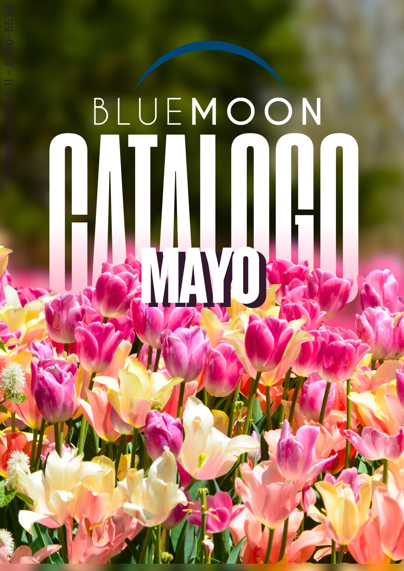 Perfumes BlueMoon Facebook ad