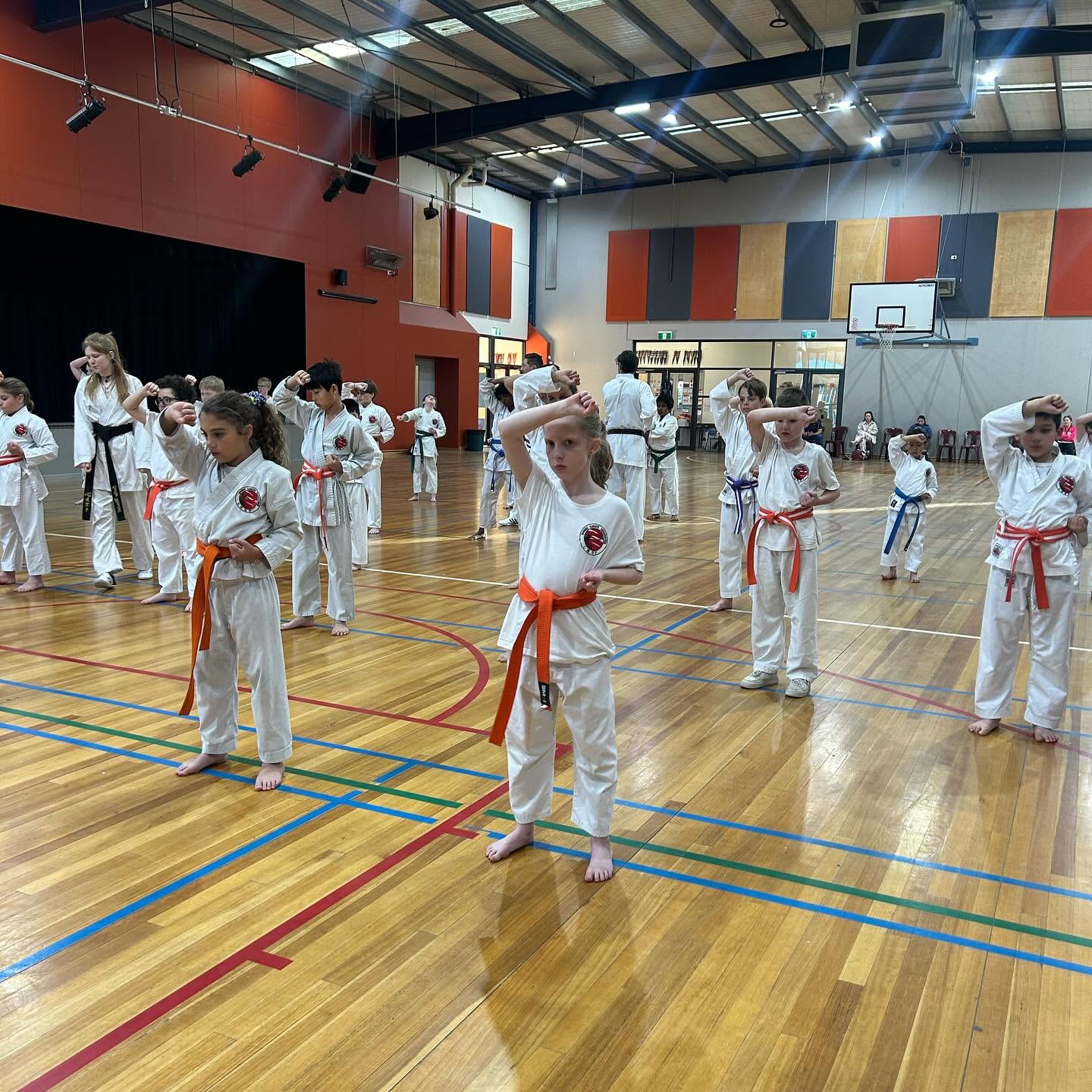 Shindo Karate Altona Meadows Dojo Facebook ad