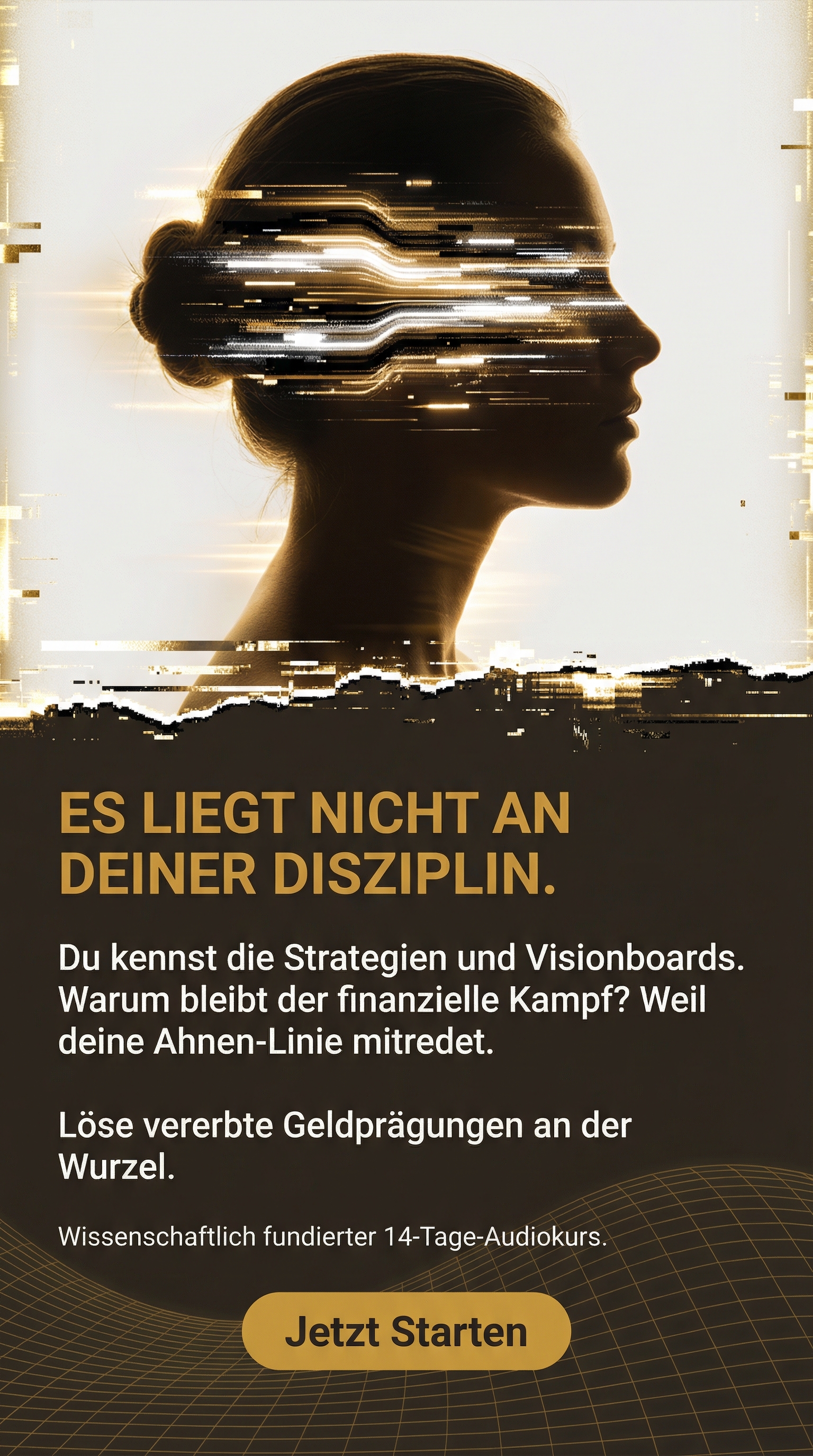 WeRise Facebook ad