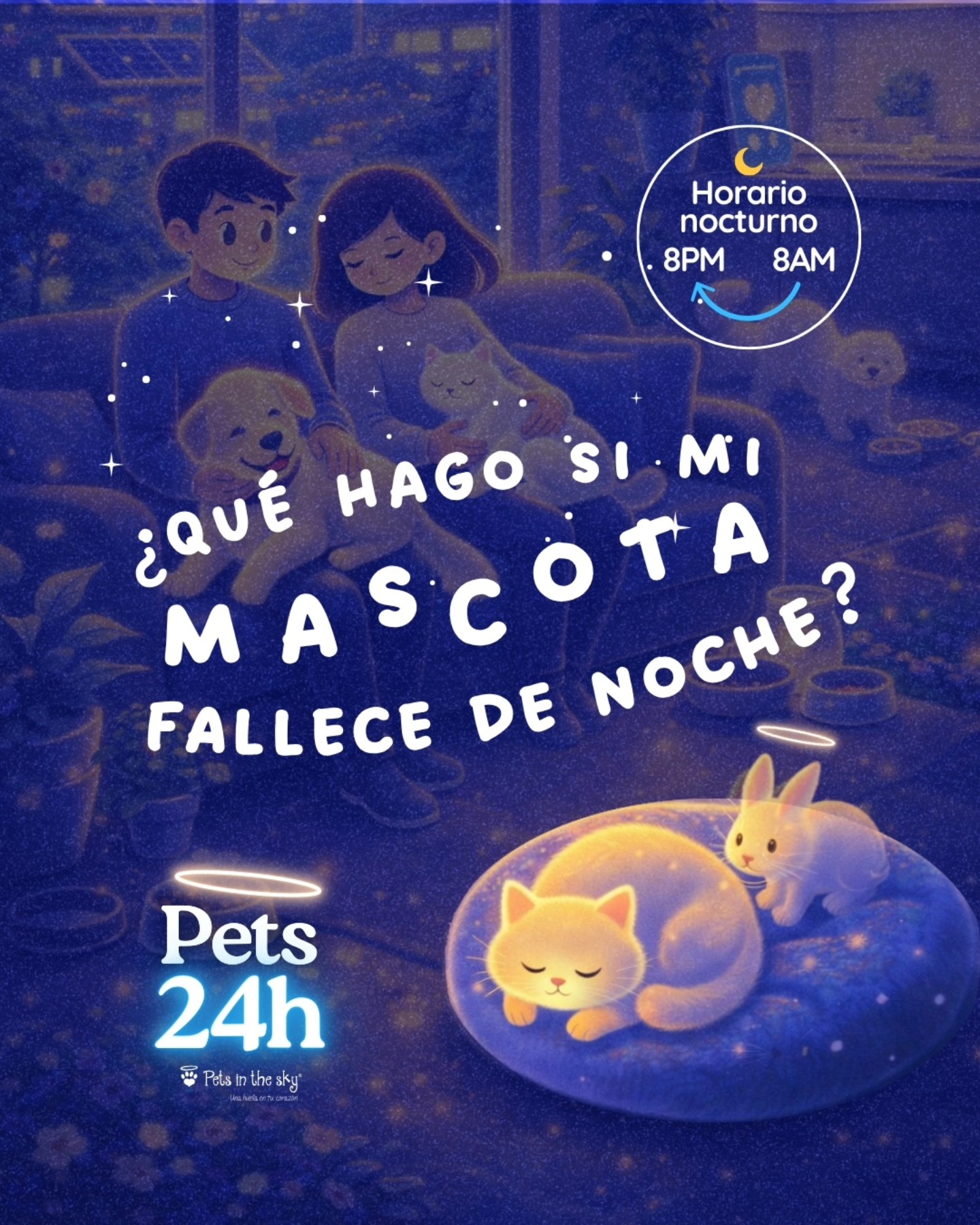 Pets in the sky Facebook ad
