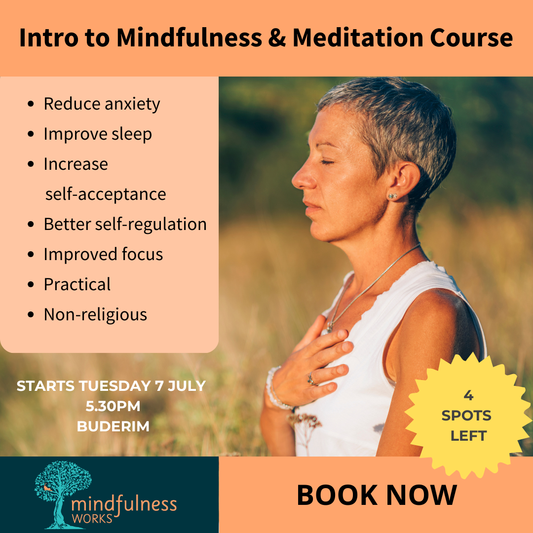 Mindful Soul Adventures Facebook ad: Bring Someone With You and Save $50