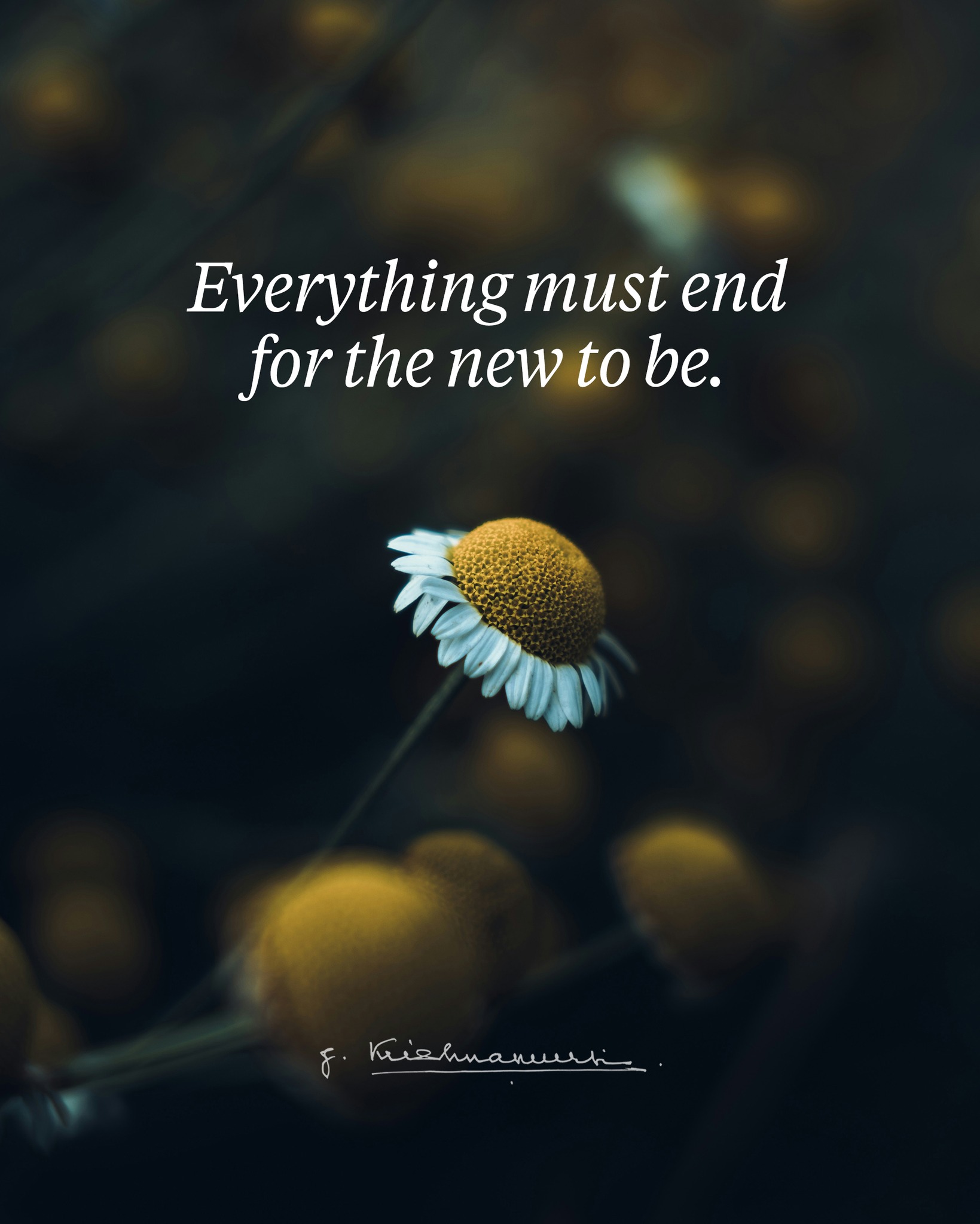 Krishnamurti Foundation Trust Facebook ad