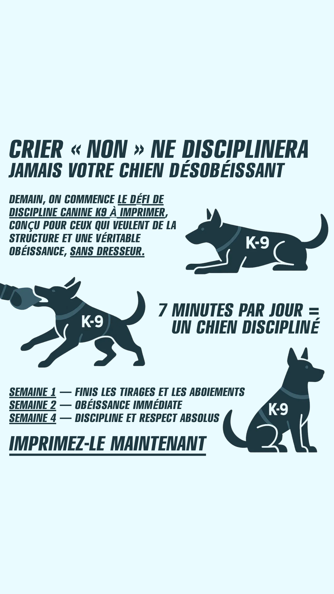 28 Day Dog Obedience Challenge Facebook ad