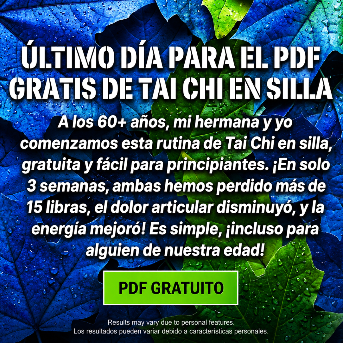 Digesti Facebook ad