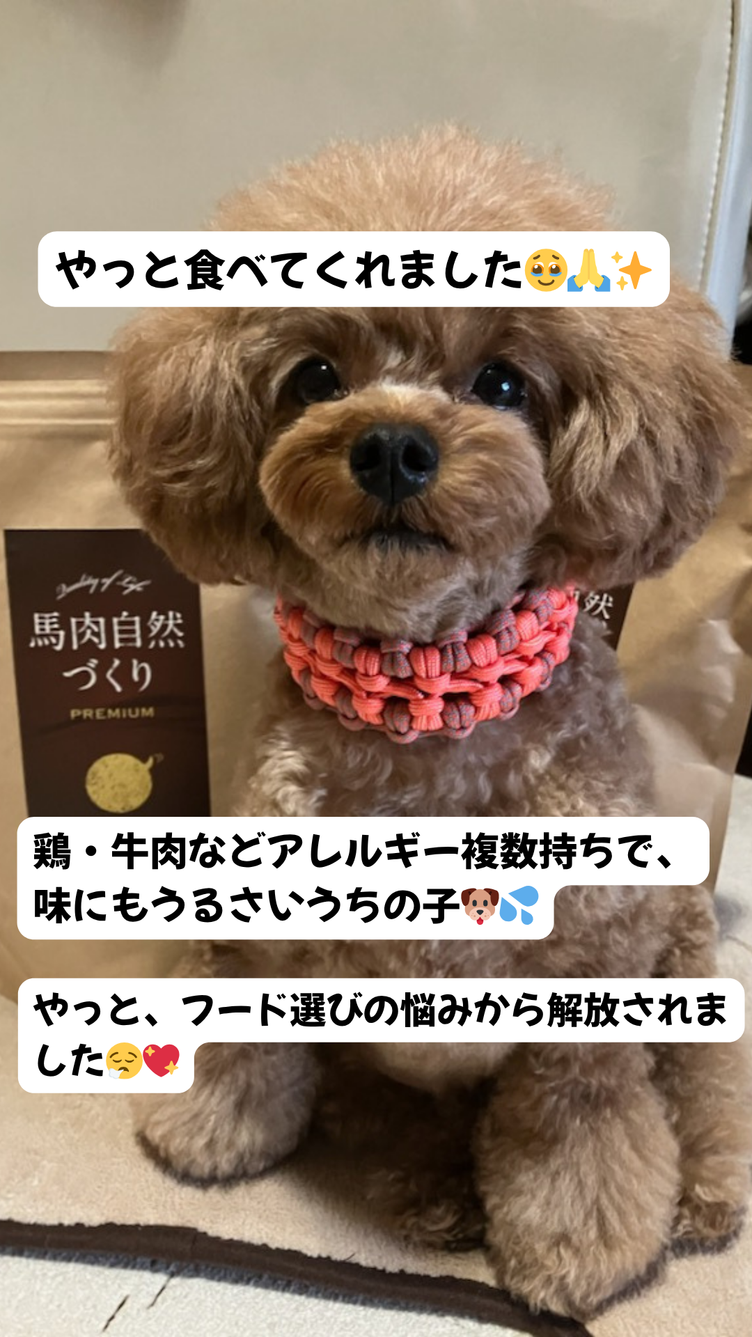 健康いぬ生活 Facebook ad