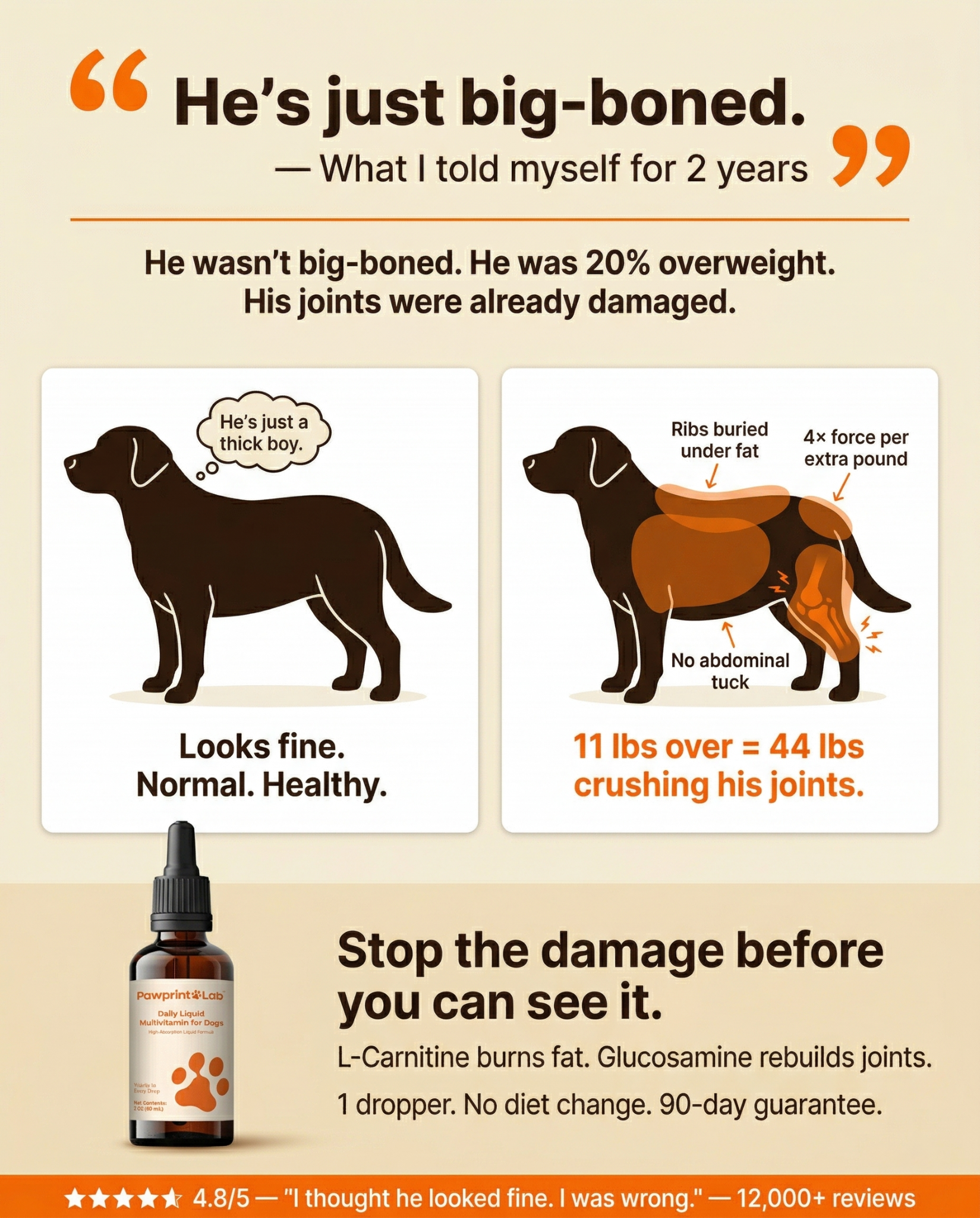Vet-Approved Pet Products Facebook ad