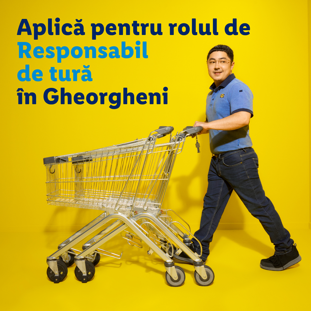 Lidl Romania Facebook ad: Cauți un job cu beneficii care Hai în…