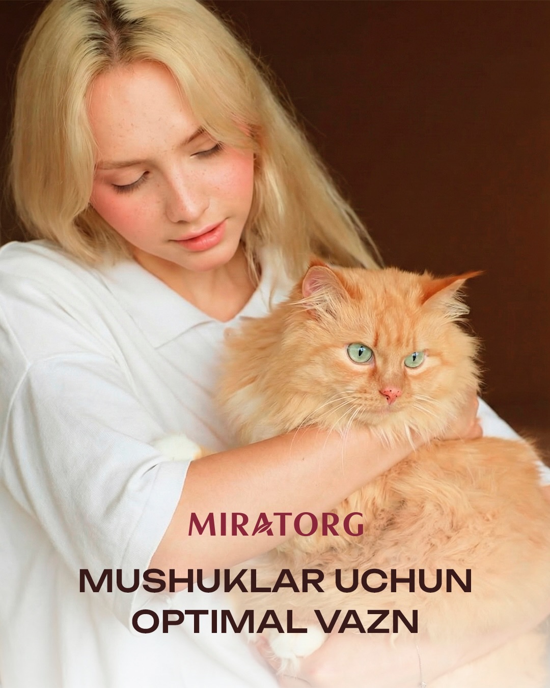 Miratorg Uzbekistan Facebook ad: Mushuklar uchun optimal vazn