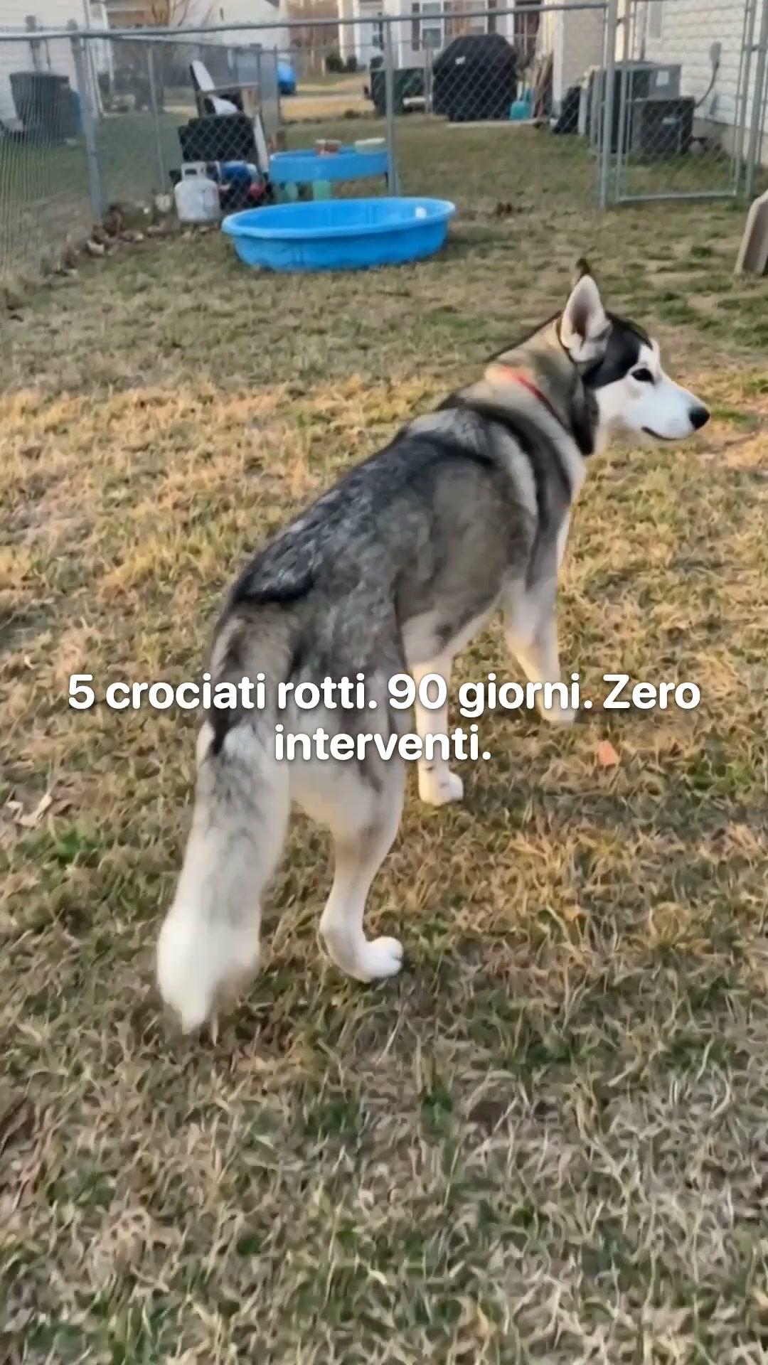 Francesca Conti Facebook ad: 5 Crociati Rotti. 90 Giorni. Zero Interventi.