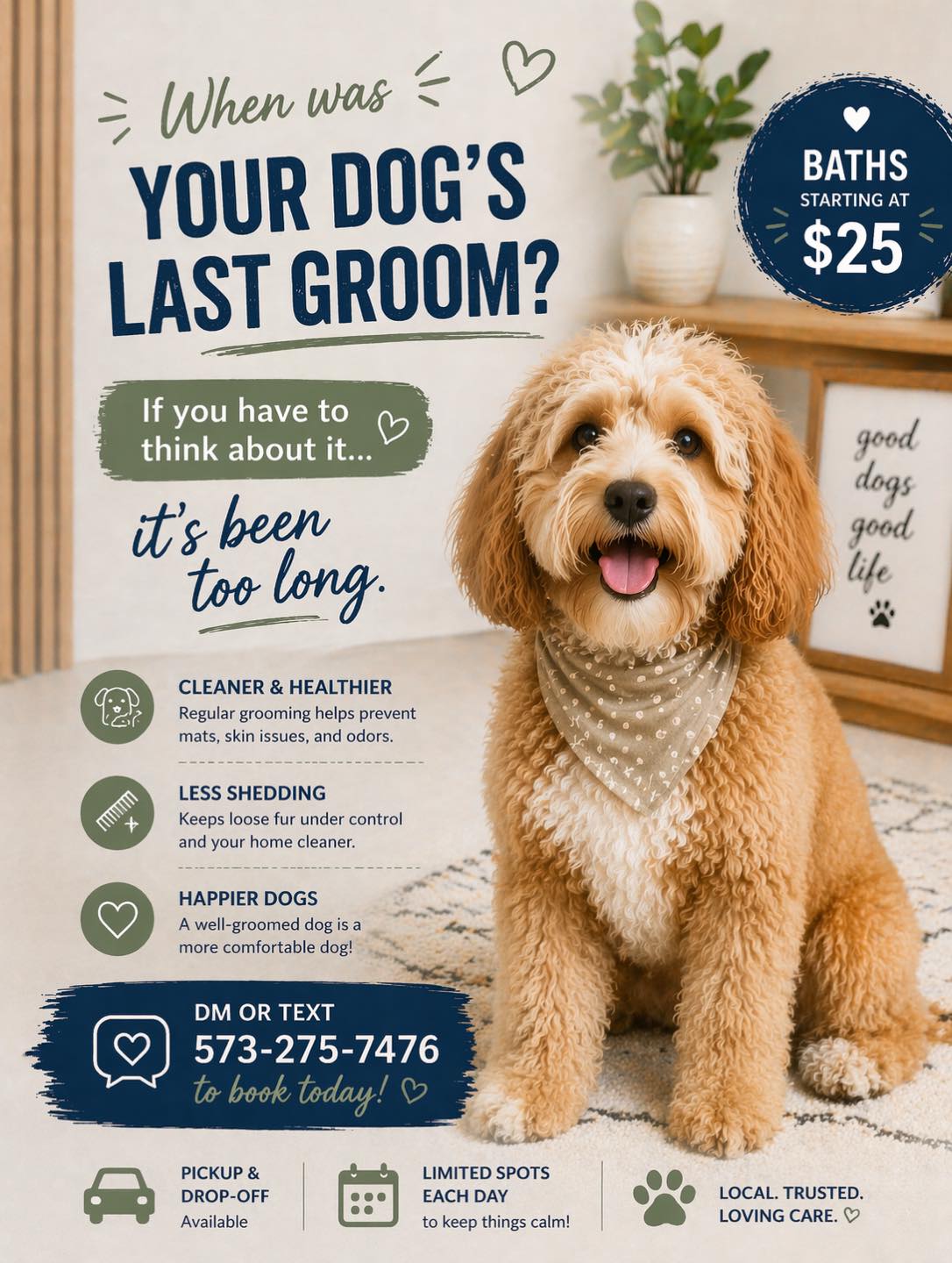 The Dog Lady: Marion Il Pet Services Facebook ad: The Dog Lady Online Booking