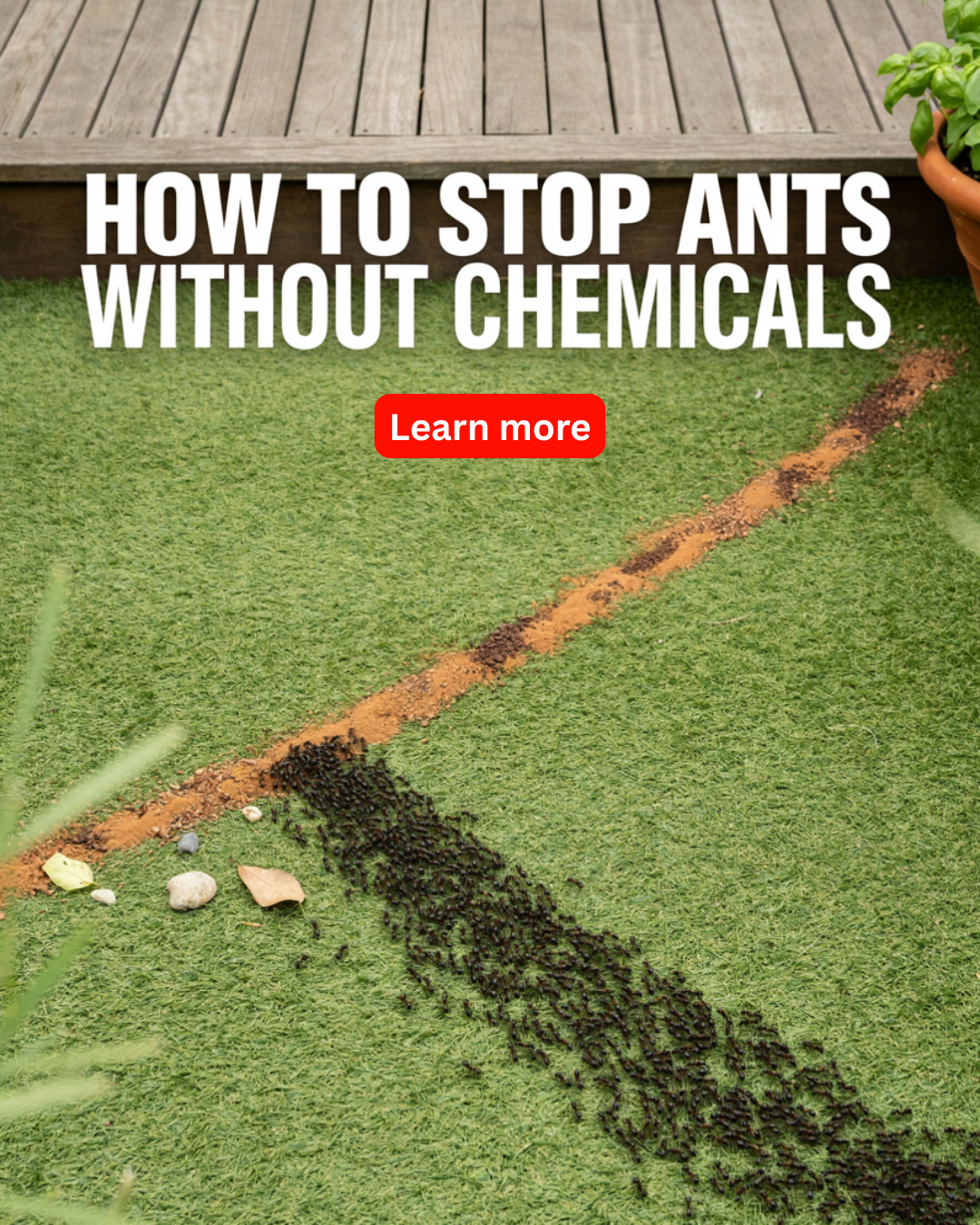Science A2Z Magazine Facebook ad