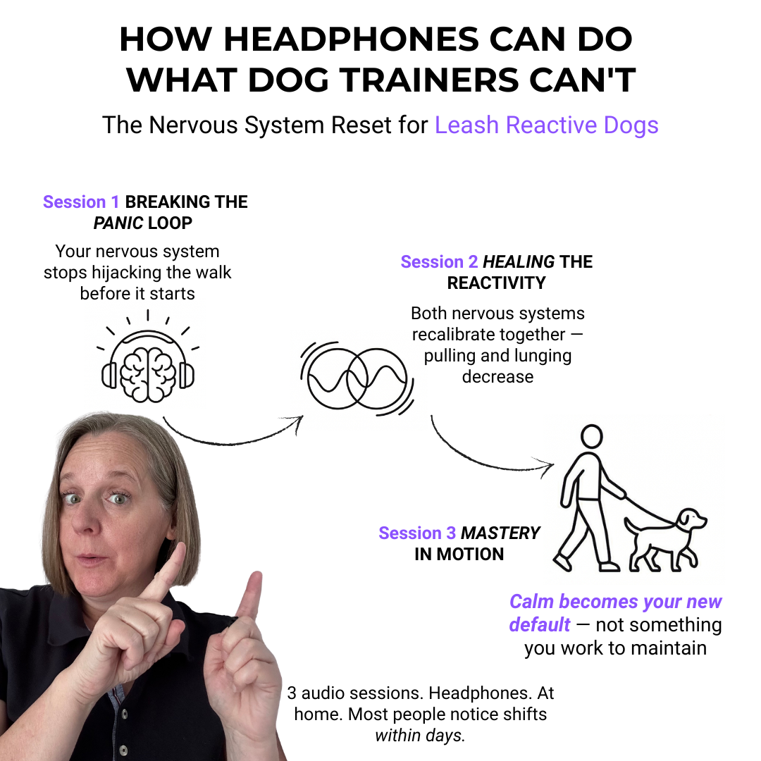 Animalhypnoshift Facebook ad: Your dog's reactivity starts in YOUR nervous system.