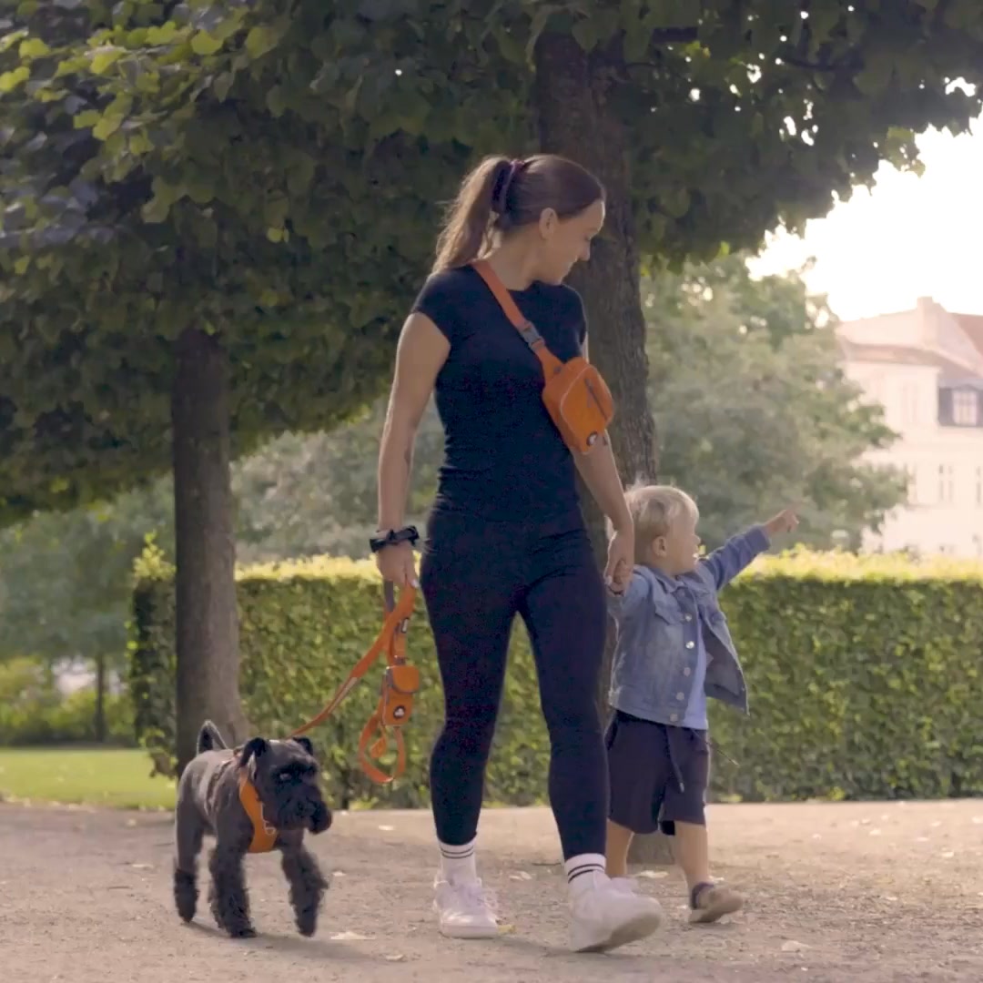 DOG Copenhagen Facebook ad: Pettorina Comfort Walk Pro